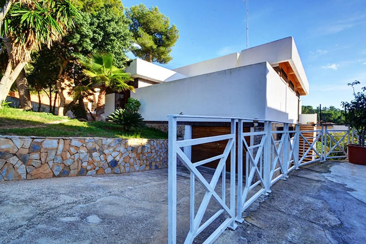Villa Dragos Spain